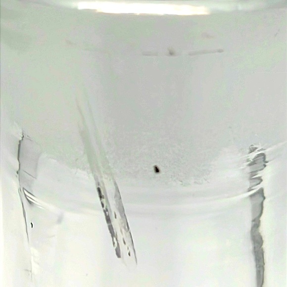 Vintage Paden City Glass Spring Orchard Decanter Frosted and Etched 4 Lobe c1930 - Picture 8 of 12